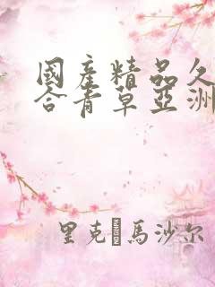 国产精品久久综合青草亚洲av