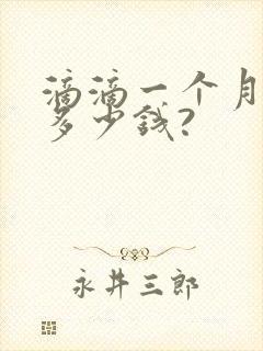 滴滴一个月能赚多少钱?