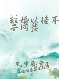 离婚以后耳东兔子网盘