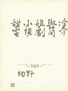 甜小姐与冷先生电视剧简介