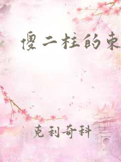 傻二柱的东西大