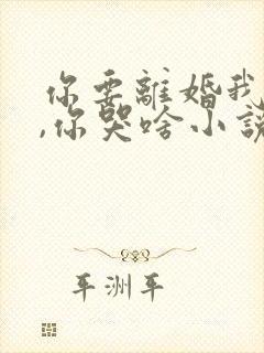 你要离婚我同意,你哭啥小说免费