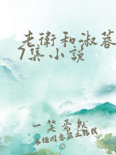 老卫和淑蓉1一7集小说