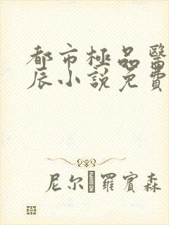 都市极品医神叶辰小说免费阅读