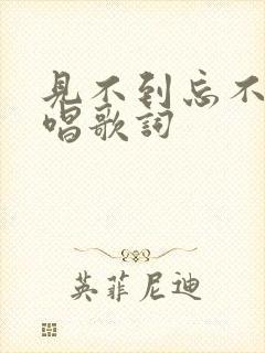 见不到忘不了原唱歌词