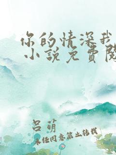 你的情深我不配 小说免费阅读