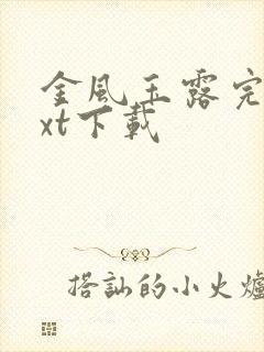 金风玉露完整txt下载