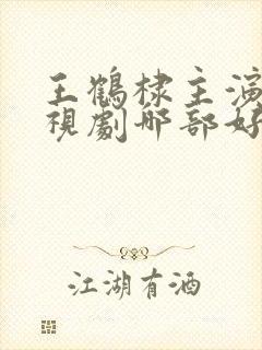 王鹤棣主演的电视剧哪部好看