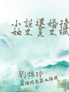 小说退婚后大佬她又美又飒全文