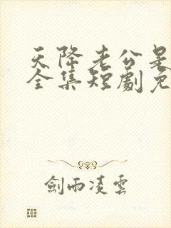 天降老公是大佬全集短剧免费观看下载