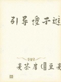 引导傻子进入