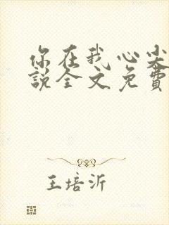 你在我心尖上小说全文免费阅读