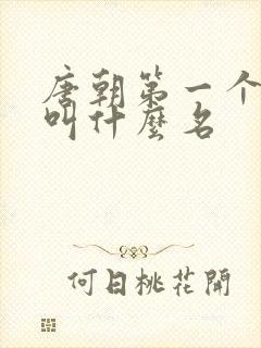 唐朝第一个皇上叫什么名