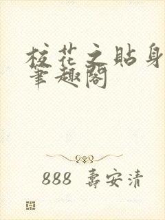 校花之贴身高手笔趣阁