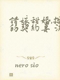 错嫁甜婚,总裁的契约妻 淇沅