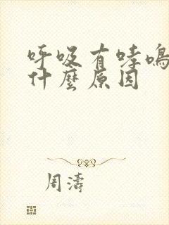 呼吸有哮鸣音是什么原因