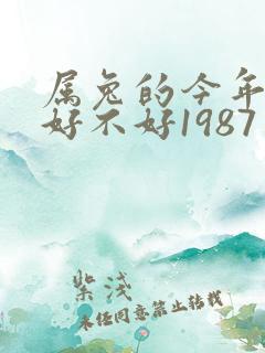属兔的今年运气好不好1987年