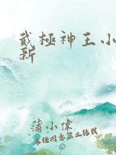 武极神王小说最新