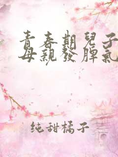 青春期儿子总对母亲发脾气咋办