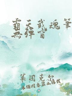 霸天武魂笔趣阁无弹窗