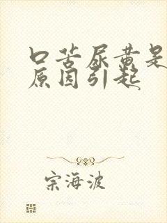 口苦尿黄是什么原因引起