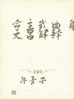 命主武曲 身主文昌解释