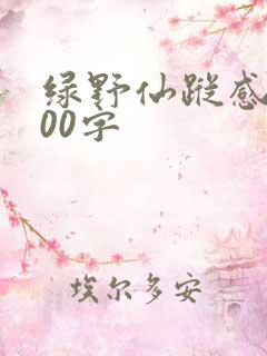 绿野仙踪感想100字