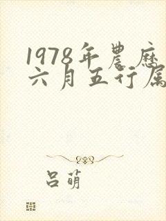 1978年农历六月五行属什么