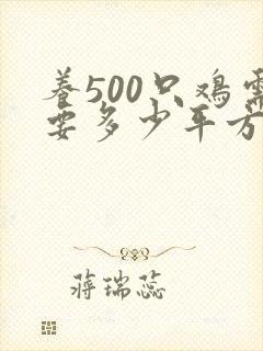 养500只鸡需要多少平方