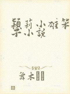 颖莉小雄笨蛋英子小说
