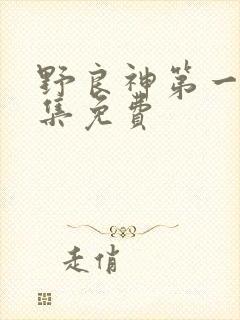 野良神第一季全集免费