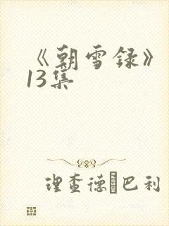 《朝雪录》 第13集