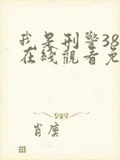 我是刑警38集在线观看免费