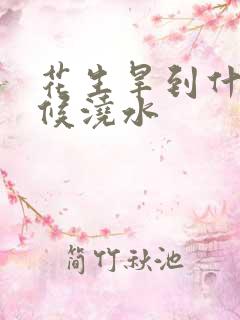 花生旱到什么时候浇水