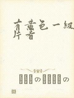 有黄色一级录像片看