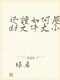 迅读如何压缩pdf文件大小
