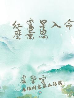 红鸾星入命是什么意思