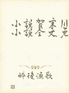 小说贺寒川向晚小说全文免费阅读