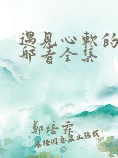 遇见心软的神在哪看全集