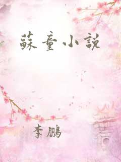 苏童小说