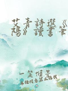 艾青诗选《向太阳》读书笔记