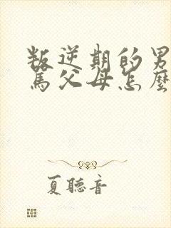 叛逆期的男孩打骂父母怎么办