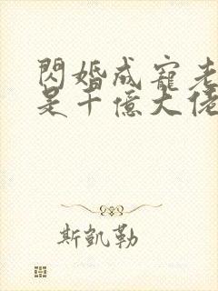 闪婚成宠老公竟是千亿大佬免费