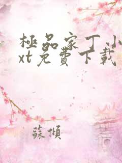 极品家丁小说txt免费下载