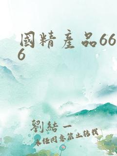 国精产品6666