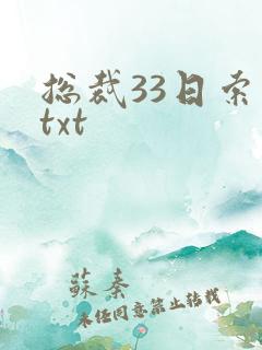 总裁33日索情txt