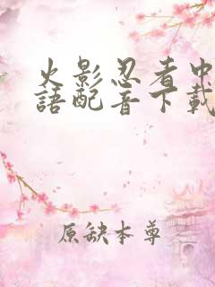 火影忍者中文国语配音下载