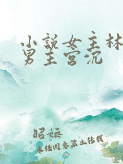 小说女主林知意男主宫沉