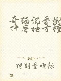 奇楠沉香树适合什么地方种植