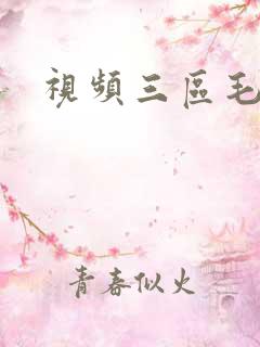 视频三区毛片